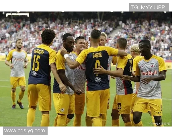 天狼星与法尔肯堡精彩对决视频回顾及赛后分析分享